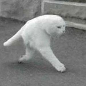 rage_63 avatar