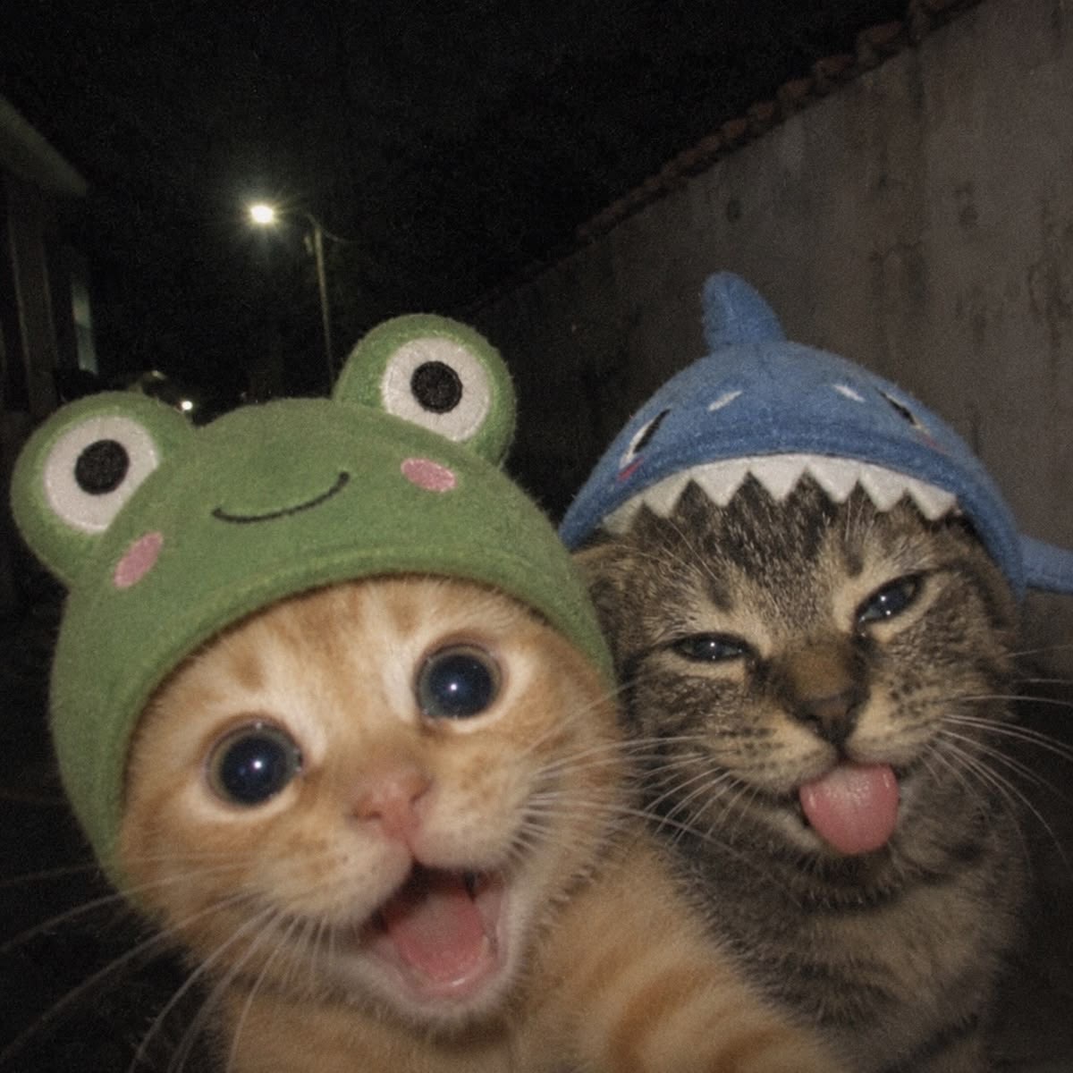 tokashh