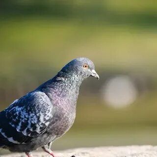 9A_3oMBaK