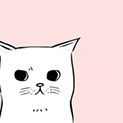 rolii-