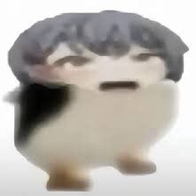 Hidesuwa