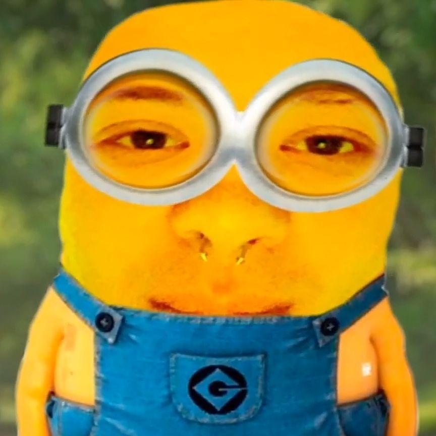 fRuct1 avatar