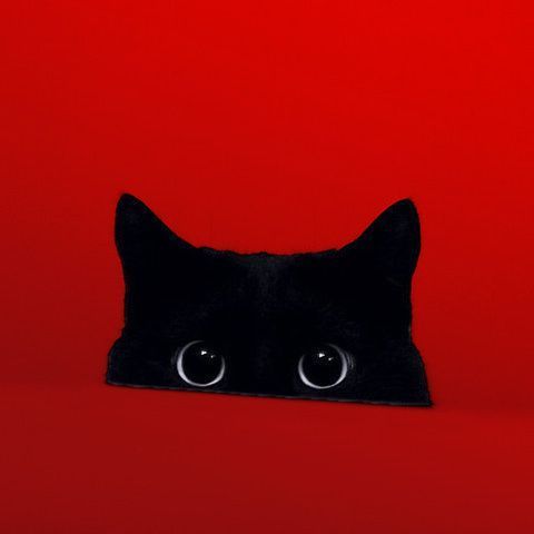 smoggy-- avatar