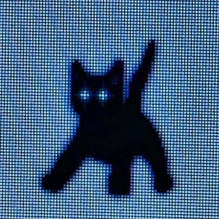 _EMO