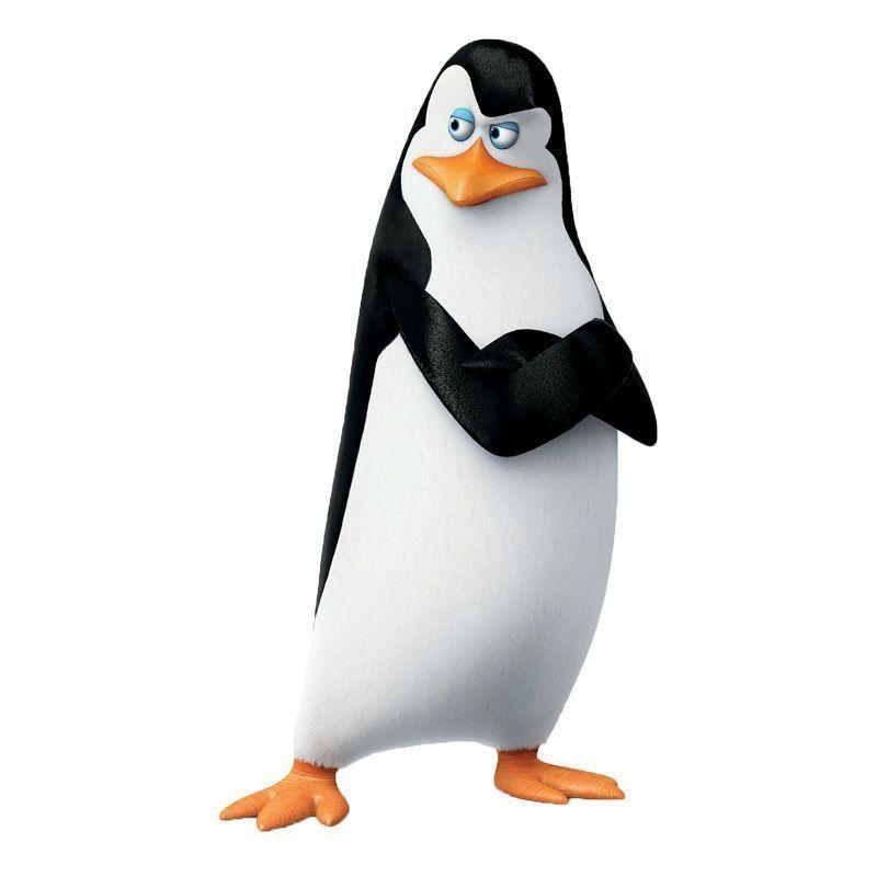 1Kowalski avatar