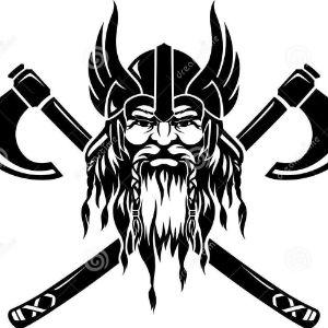 viking015