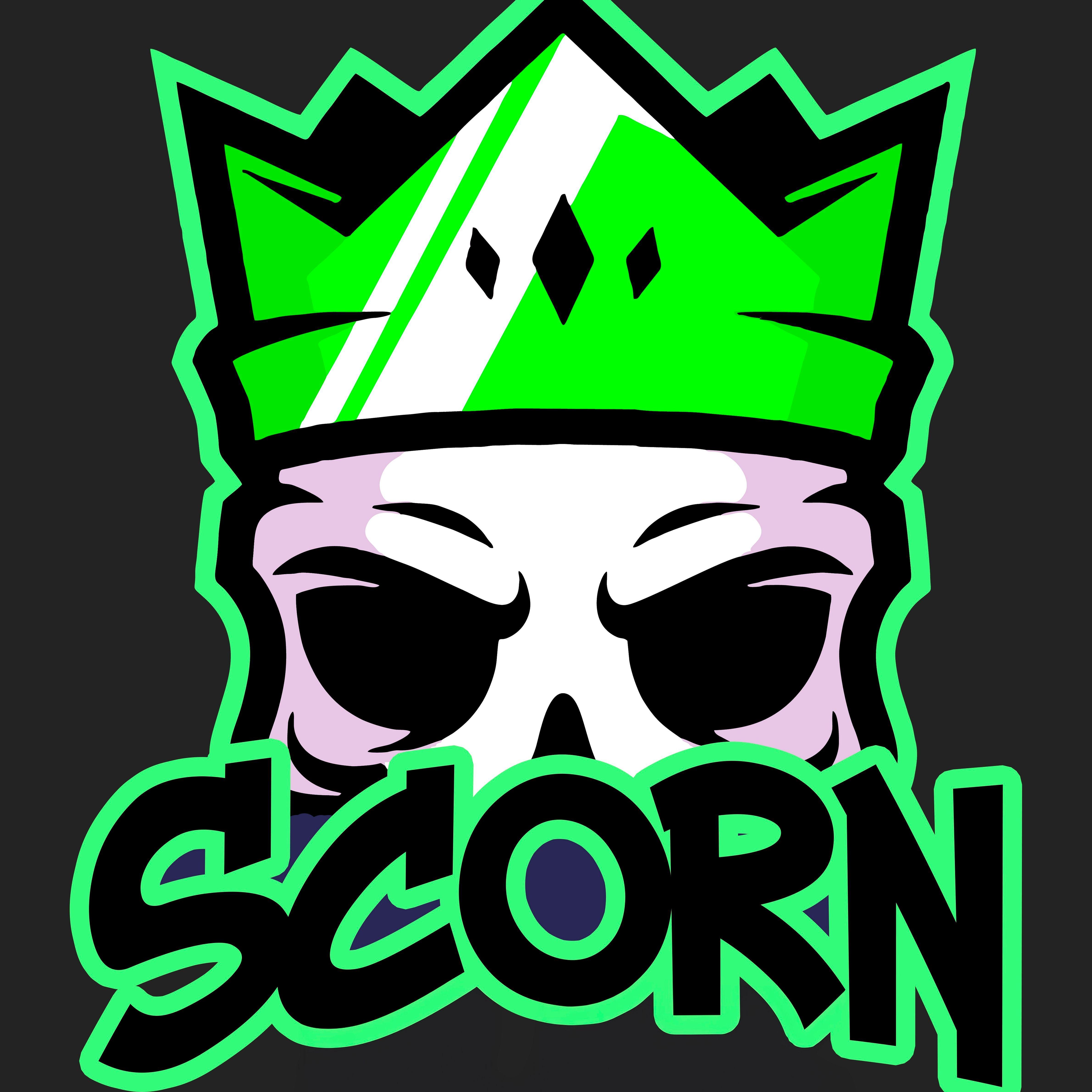 foxmi_ avatar