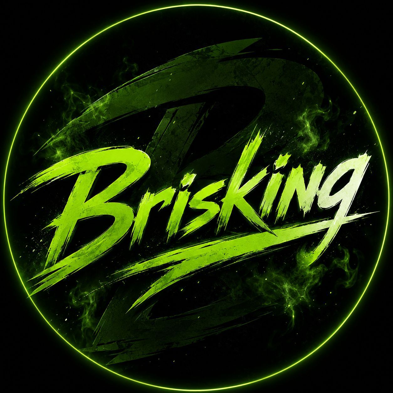 BriSKinG