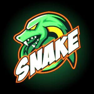 snakew0w avatar