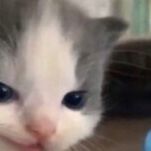 TwBabby