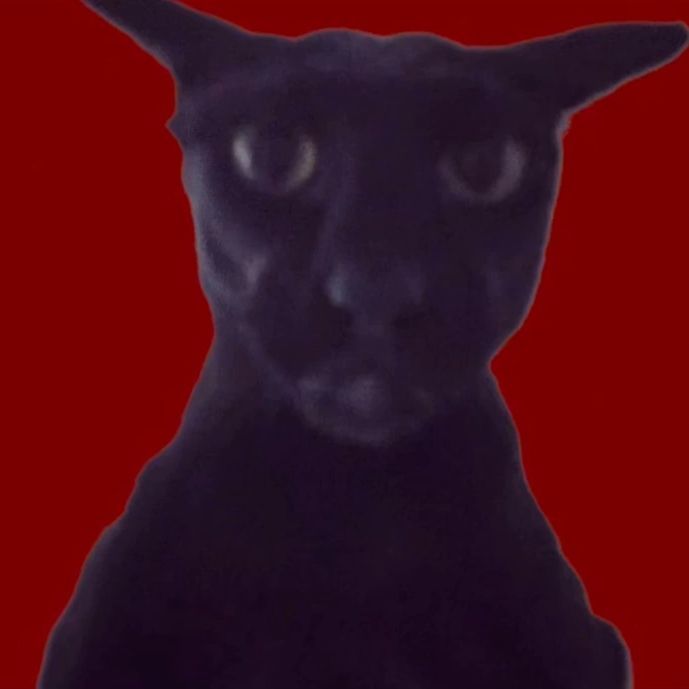Evil-_-Larry FACEIT avatar