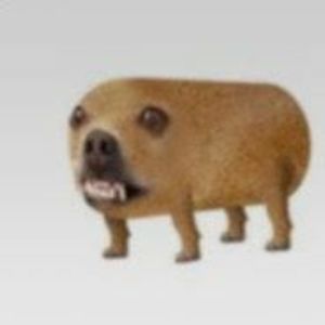 Shyzax FACEIT avatar