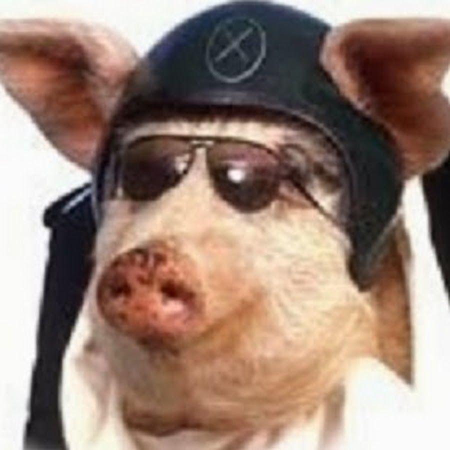 karakule21 avatar
