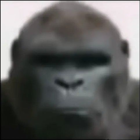 KubeN-