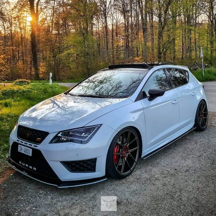 Seat_Cupra FACEIT avatar