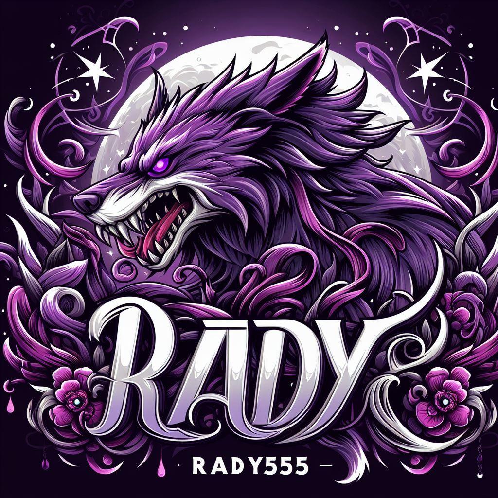 rady552 avatar