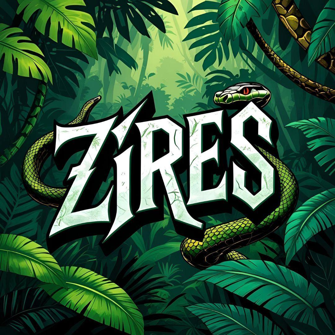 ZiireS avatar