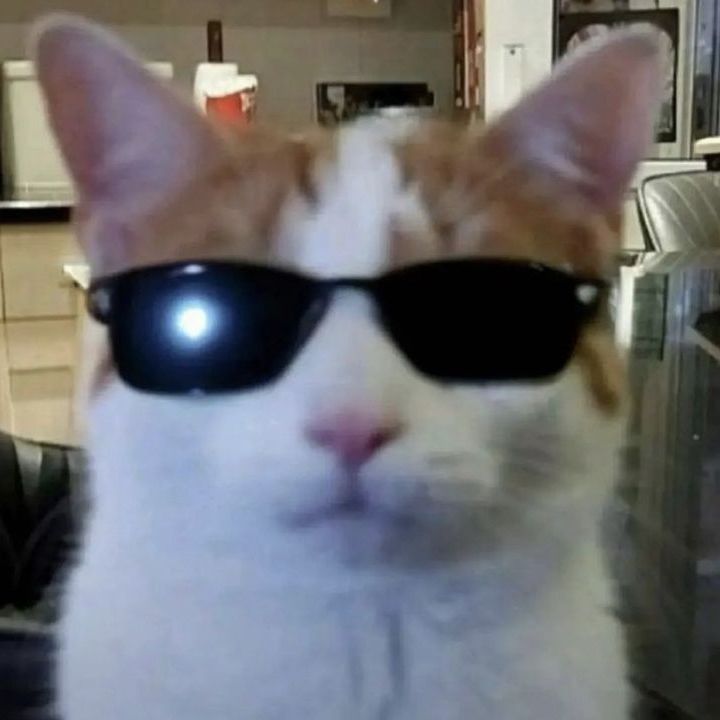 J0gge_