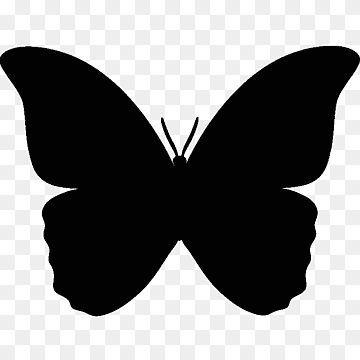 0butterfly1 avatar