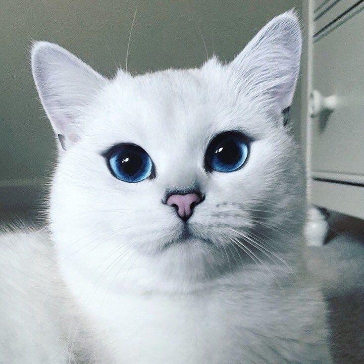mesto1men1e avatar