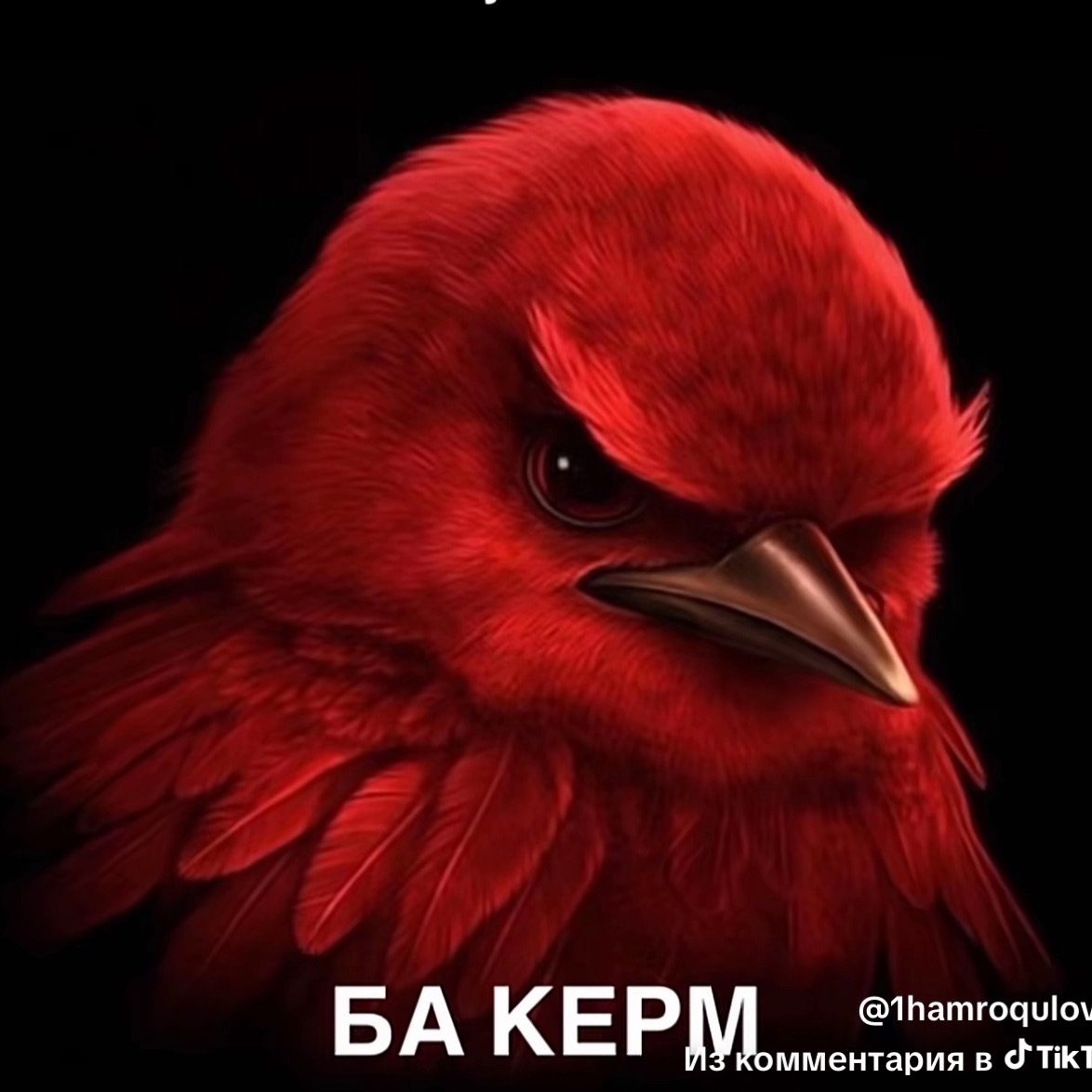 StiLLvasya