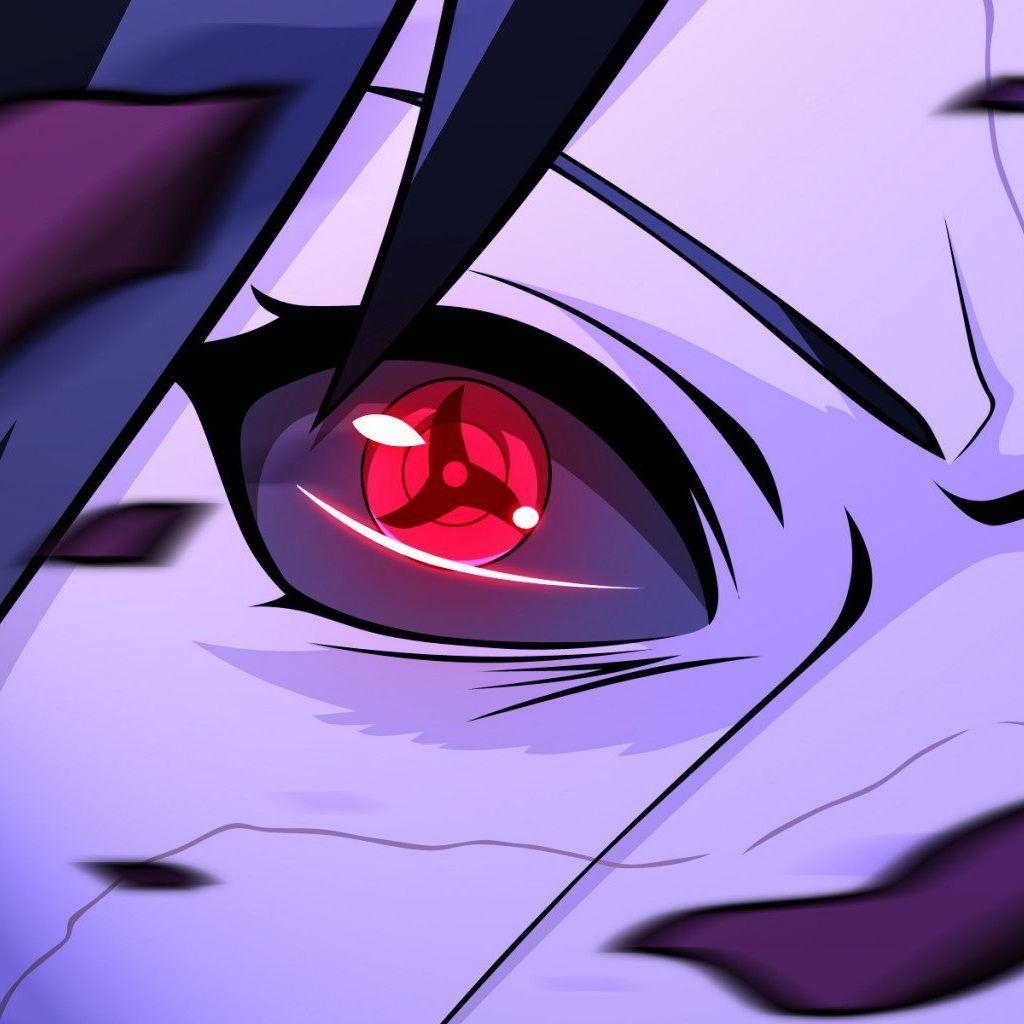 Areyal1 avatar