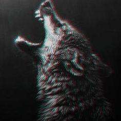 _T1m avatar