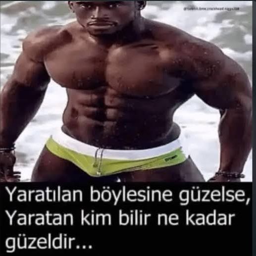 niceturko