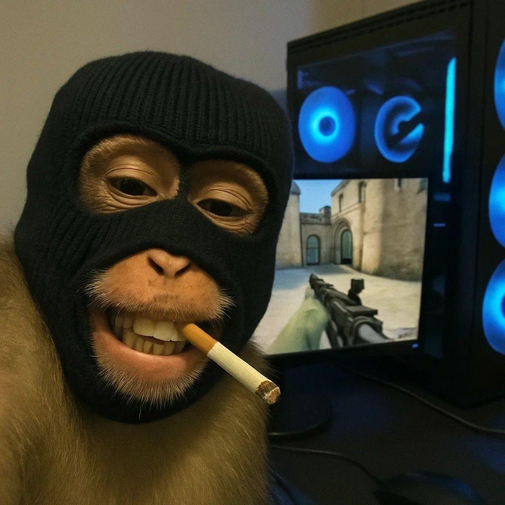 Chetzzi