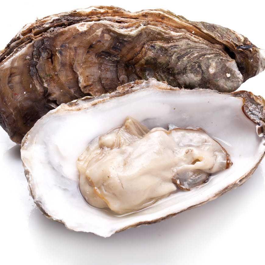 OysterMan_ avatar