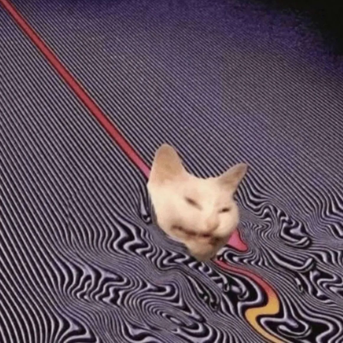 moonlg