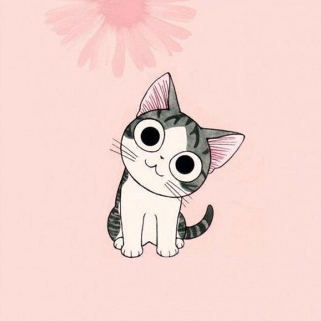 cenzl avatar