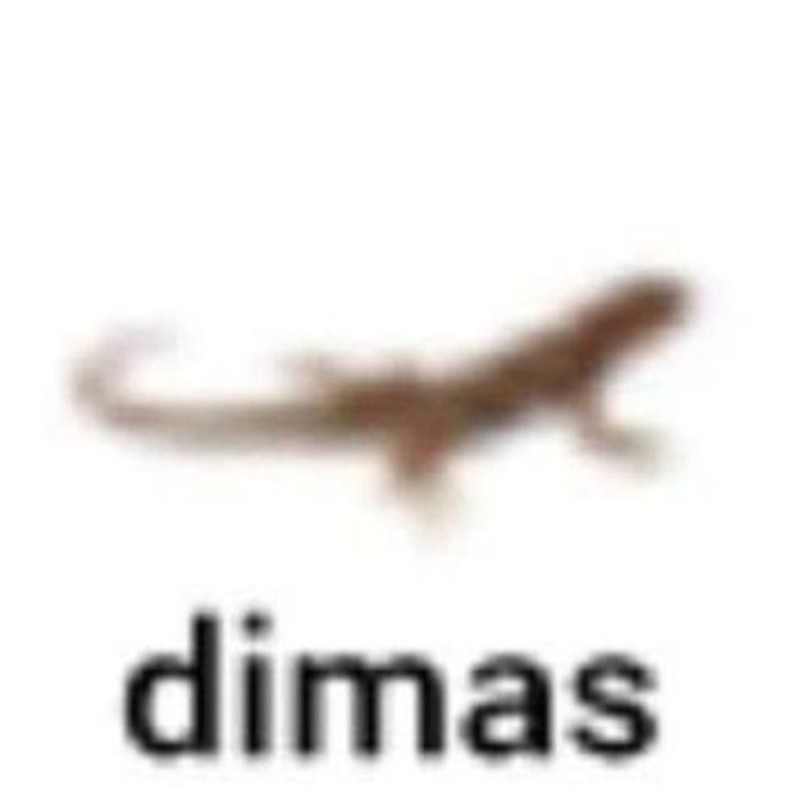 dimaasik