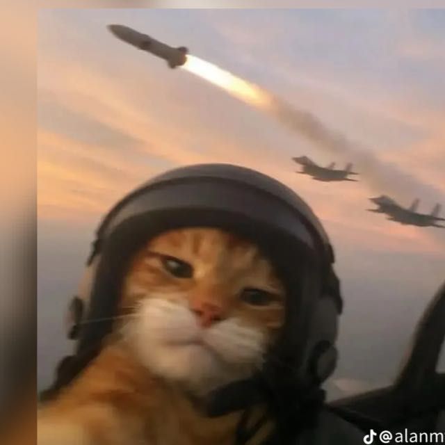 krulkozi FACEIT avatar