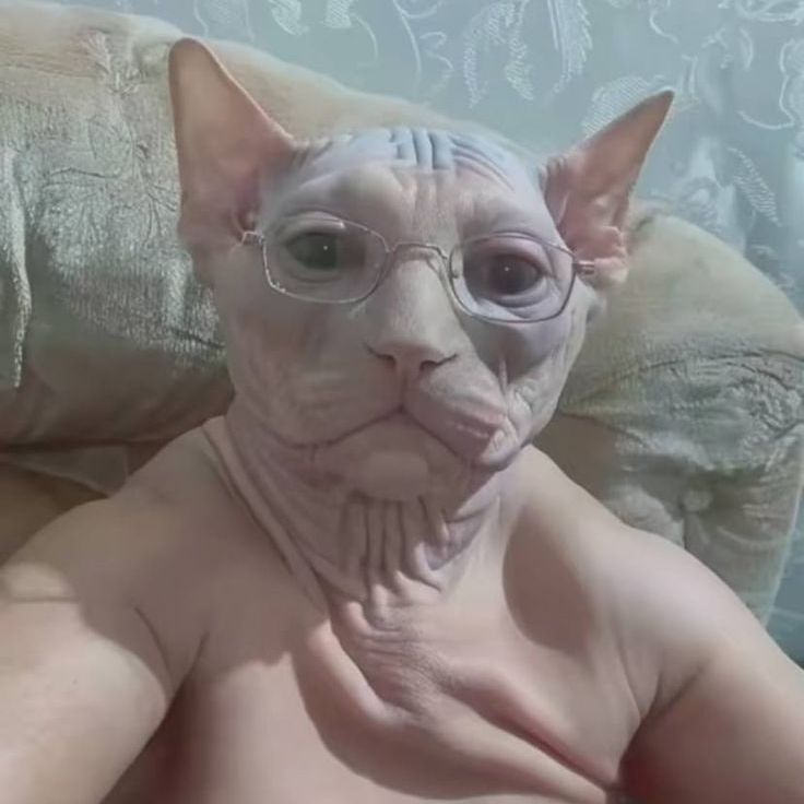 yooow