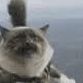 PUSCHOK2