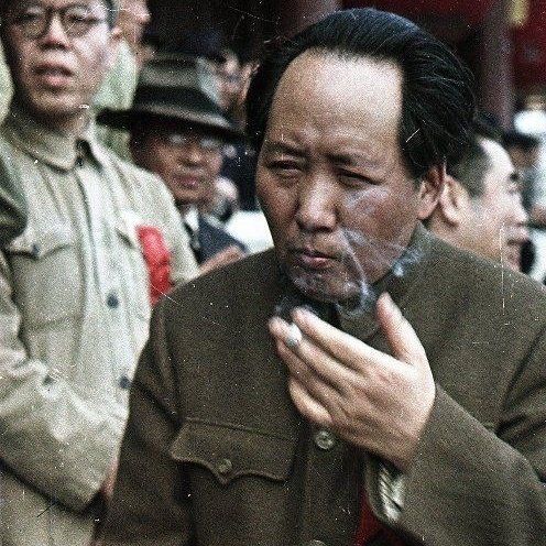 Spidergum FACEIT avatar