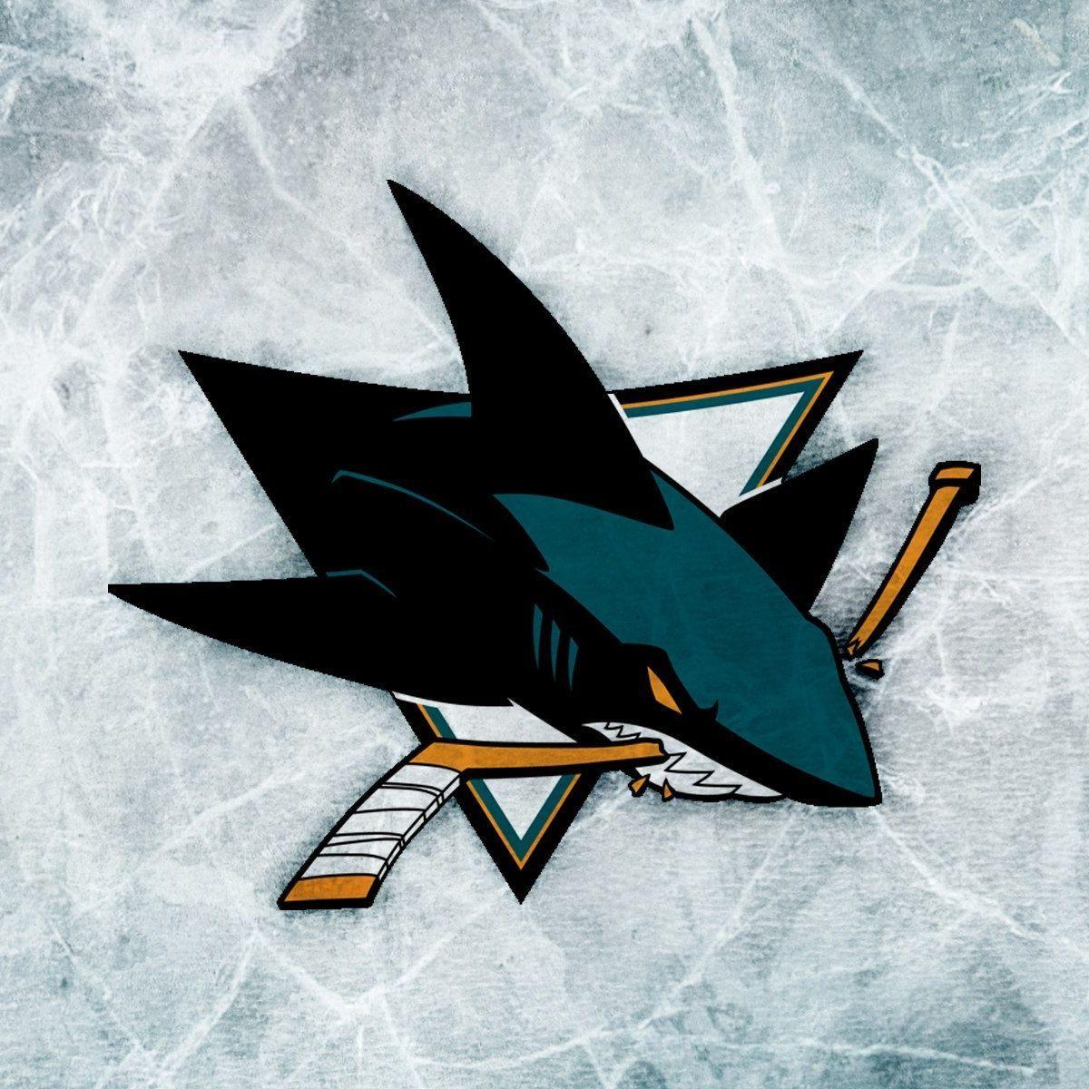 SharkTwich avatar