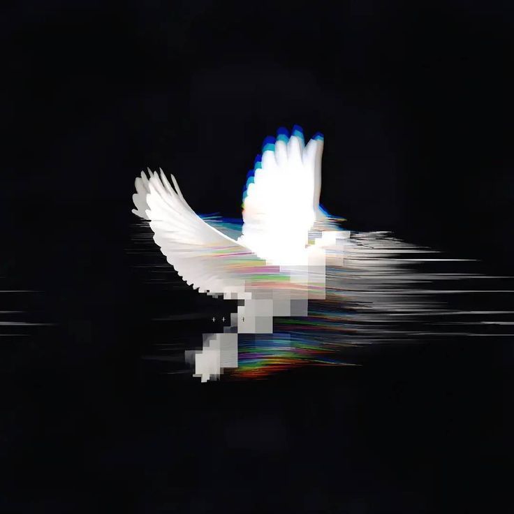 Land0no