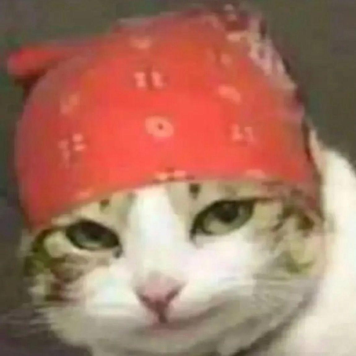 pommevoiture avatar