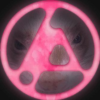 IP05 avatar