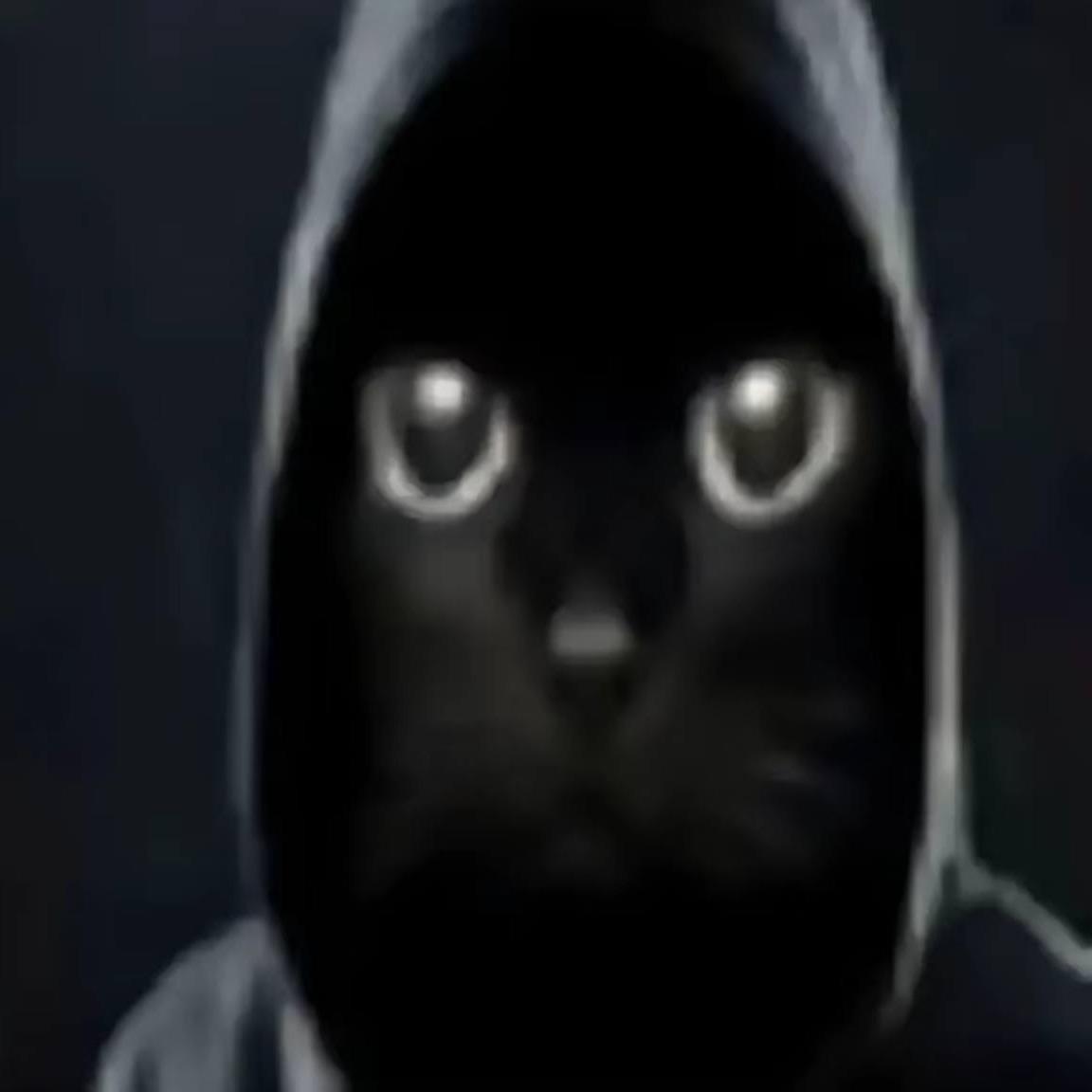 -pr1nt- avatar