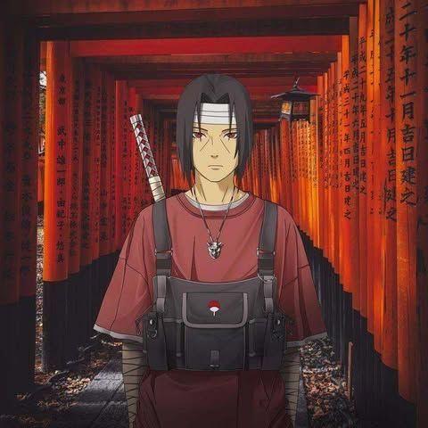 sHtZ- avatar