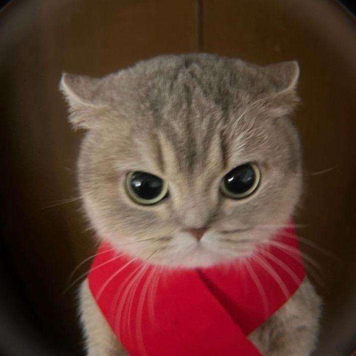 kenoraa avatar