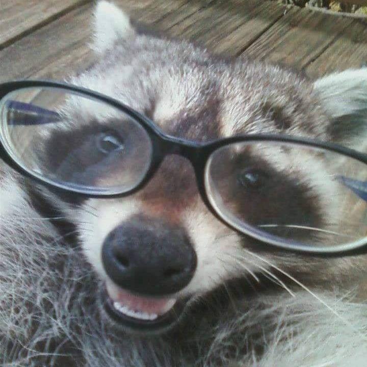 Earix_