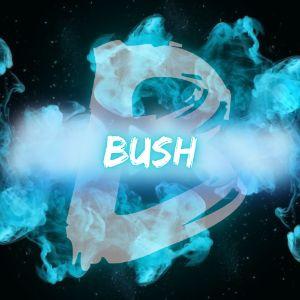 Player -Bush- avatar