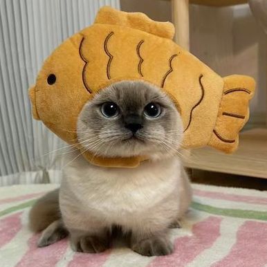 Mandorina