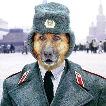 staIin avatar