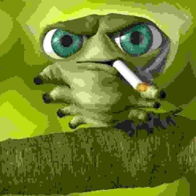 drozhz