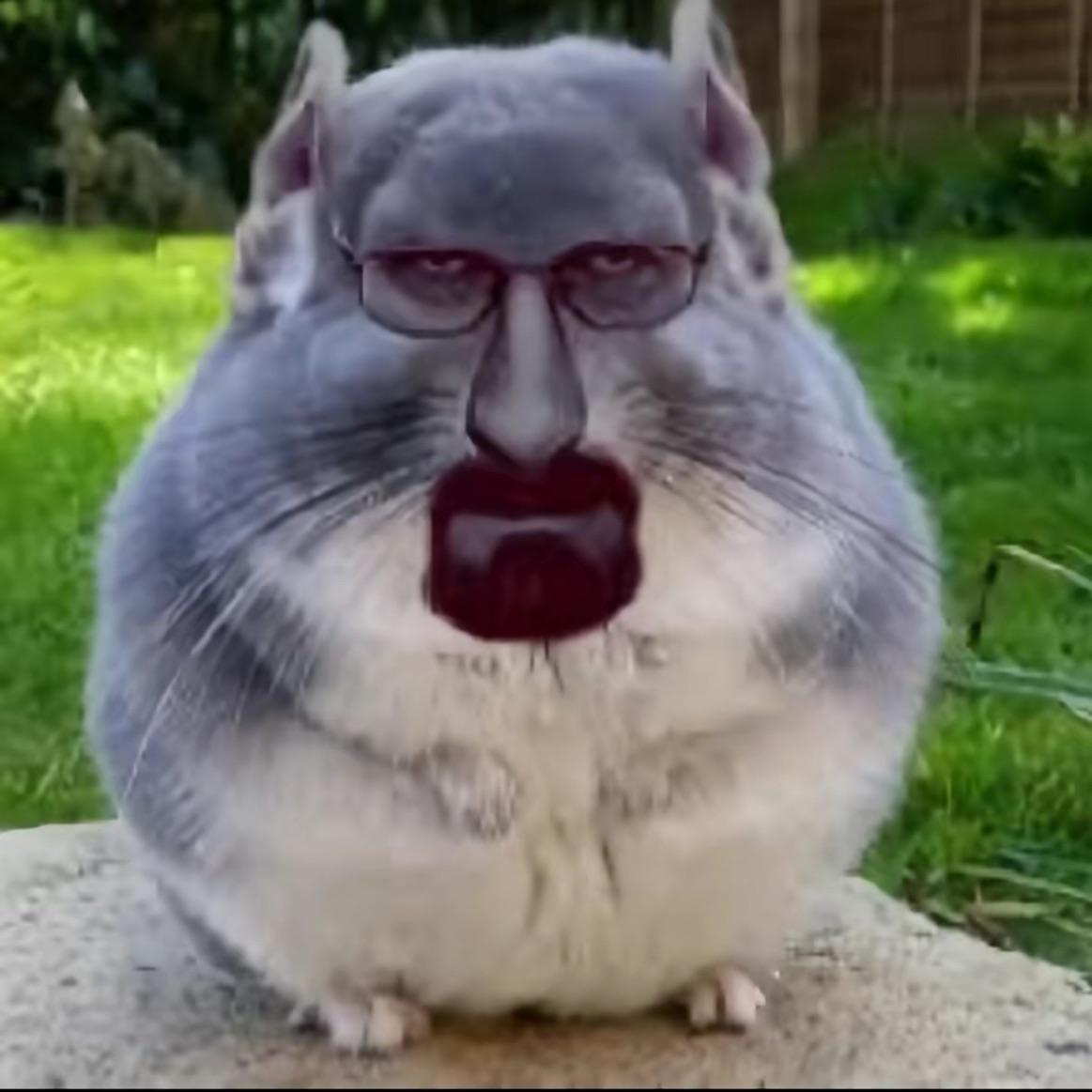 Zazalander avatar